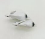 WhatsApp Image 2024-12-13 at 4.28.54 PM