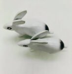 WhatsApp Image 2024-12-13 at 4.28.54 PM