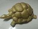 ssv-brass-tortoise-7-125×125-2.jpg
