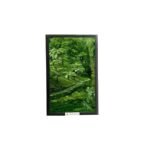 Lush Greenary Scene With Frame (16.5 * 20.5 inches)(naral pani)