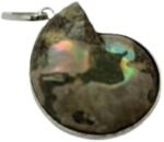 41AeVmMCugL._AC_UY1100_