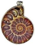 Amonite(Fossil) Pendant 1.5-2 inches  or attrection of money and success
