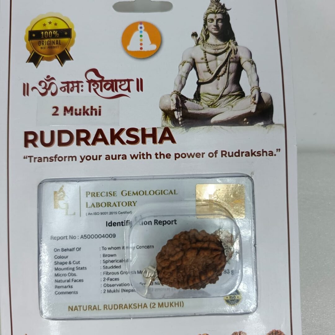 SSV Certified 2 Mukhi Nepali Rudraksh