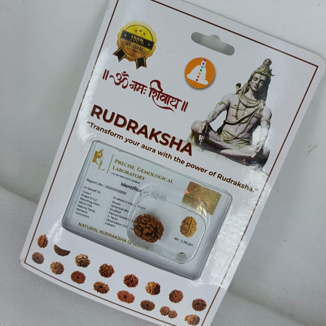 SSV Certified 3 Mukhi Nepali Rudraksh