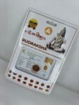SSV Certified 3 Mukhi Nepali Rudraksh