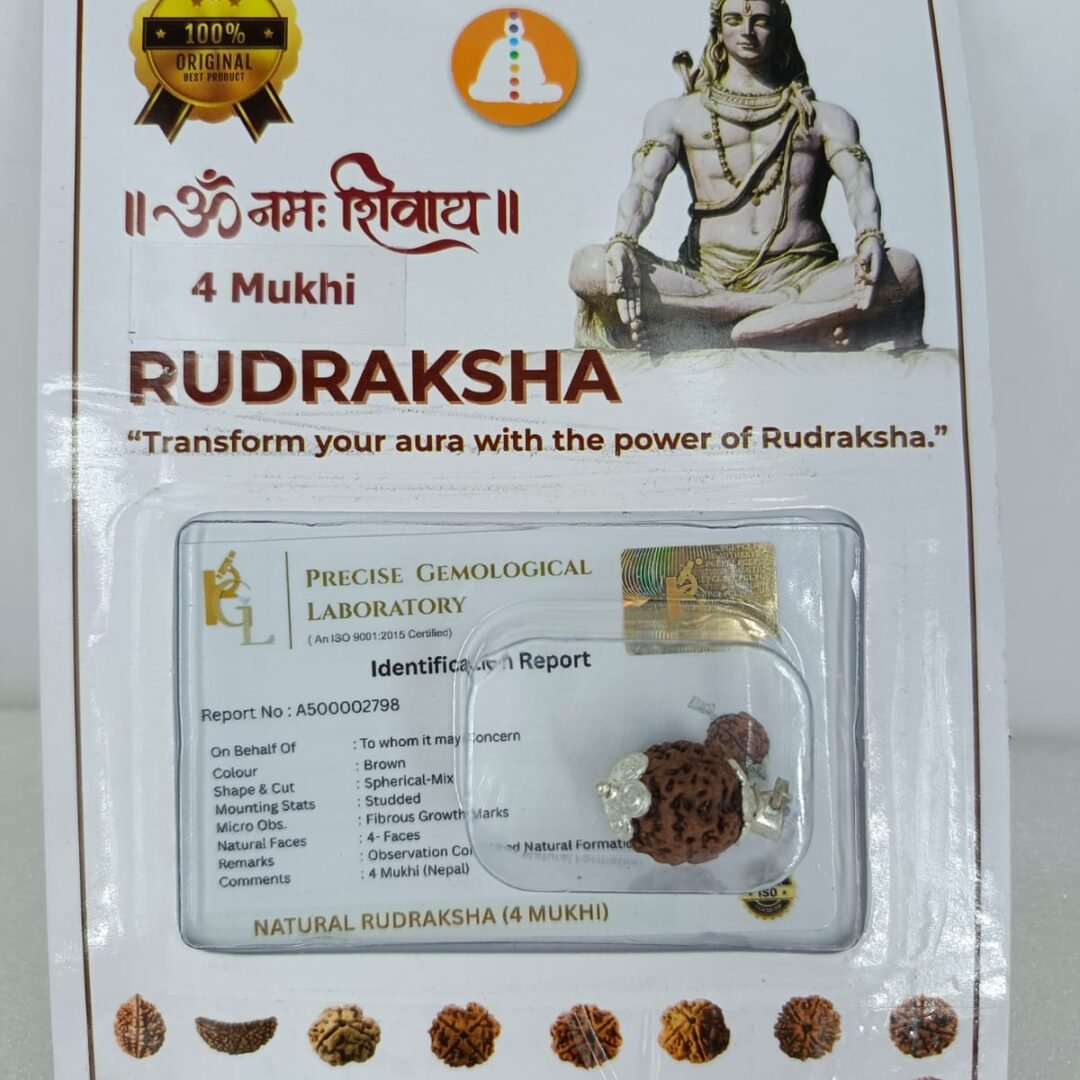 SSV Certified 4 Mukhi Nepali Rudraksh