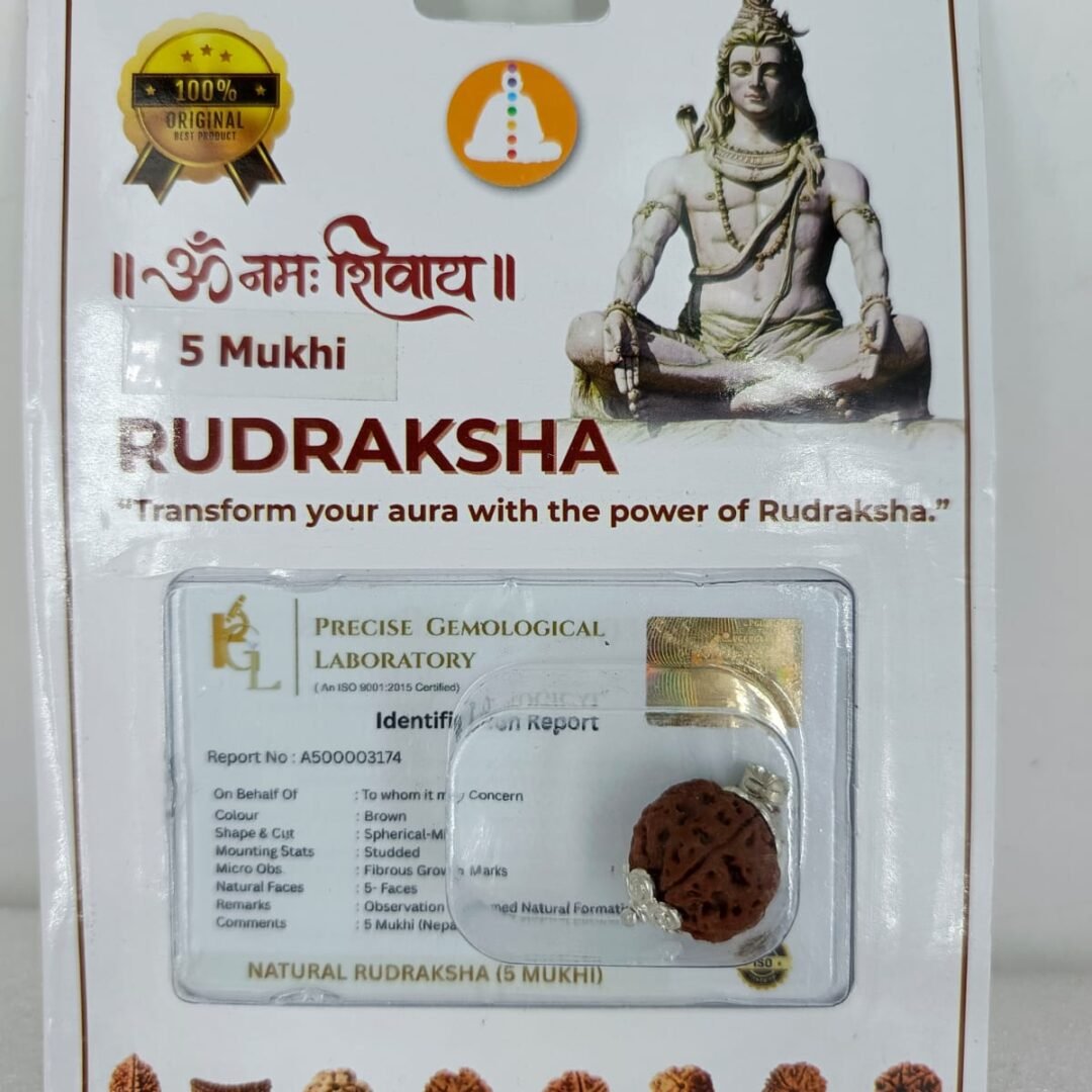SSV Certified 5 Mukhi Nepali Rudraksh