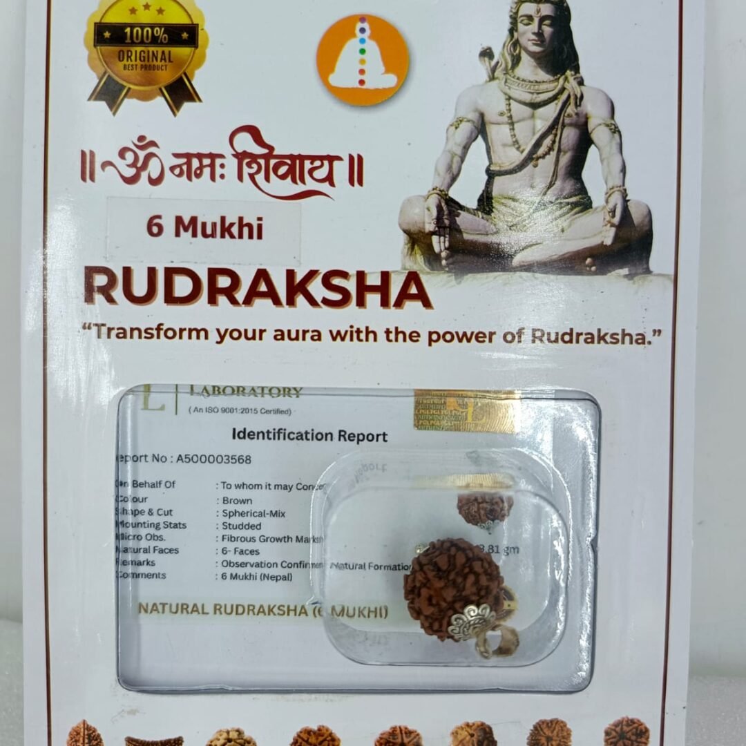 SSV Certified 6  Mukhi Nepali Rudraksh