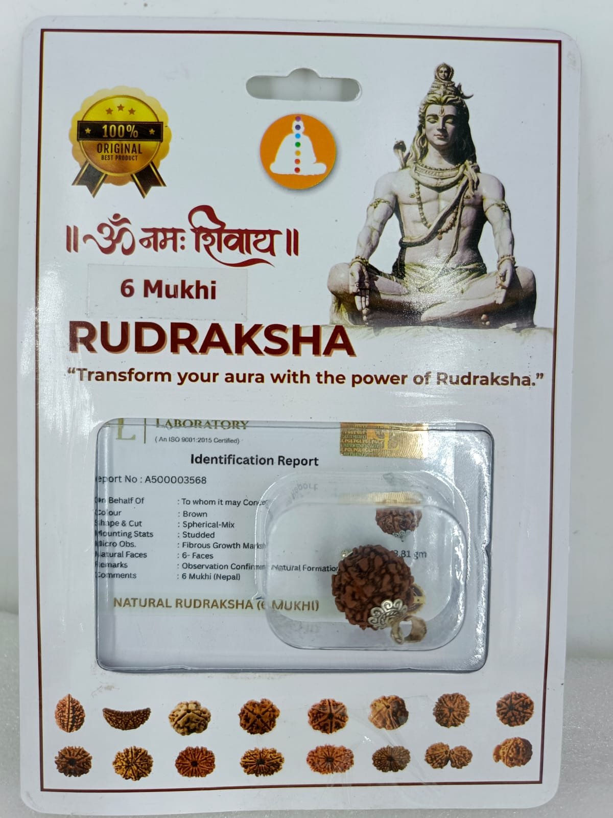 SSV 6 MUKHI RUDRAKSH NEPALI CERTIFIED