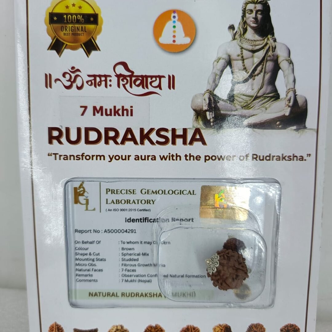 SSV Certified 7 Mukhi Nepali Rudraksh