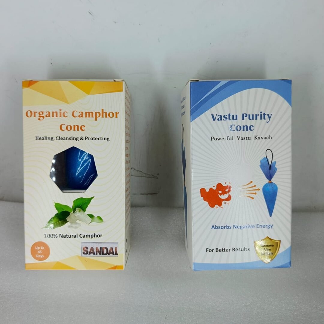 SSV Organic Camphor and Vastu Purity Cone Pack of 2