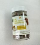 GCDDS Champa
